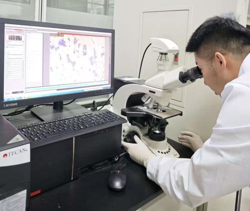 38.97億刷新紀(jì)錄！呼和浩特科創(chuàng)成果轉(zhuǎn)化跑出“首府速度”